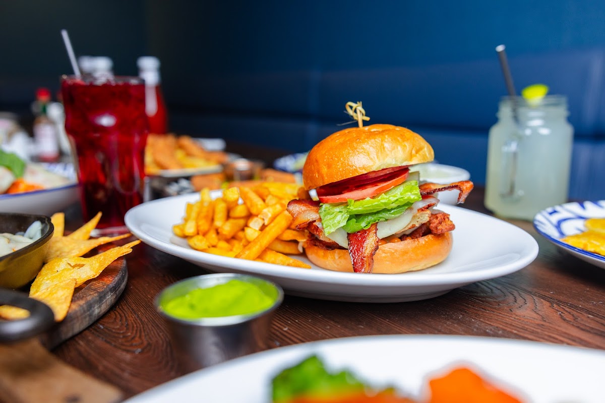 Slide Background Image